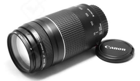 Canon EF 75-300mm f/4-5.6 III Telephoto Zoom Lens for Canon SLR Cameras