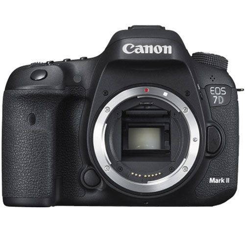 Canon 7D Mark II with 18-135mm Lens