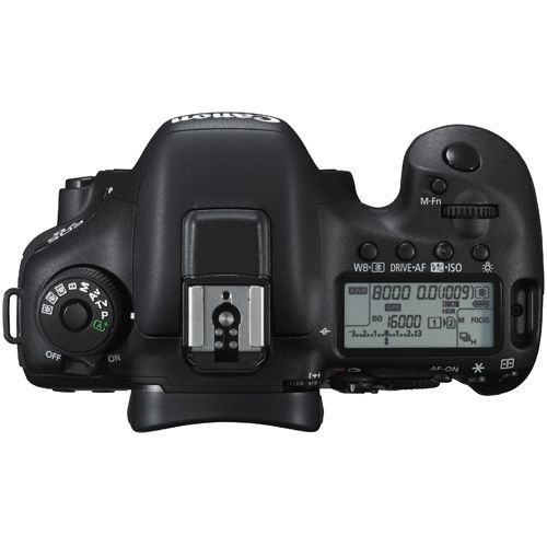 Canon 7D Mark II with 18-135mm Lens