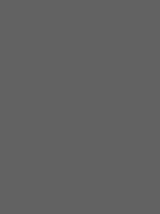3X6M PVC Vinyl Studio Backdrop Nude Grey with black backing