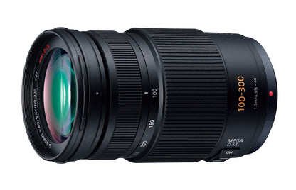 Panasonic AG-AF101E +100-300mm Panasonic Lumix Lens