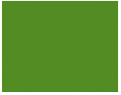 2,72X11M Savage Seamless Paper Backdrop (Green)