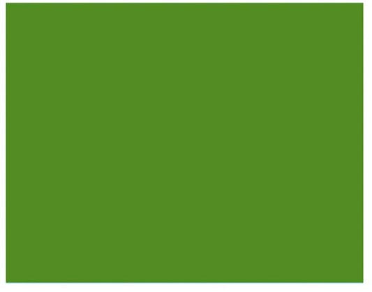 2,72X11M Savage Seamless Paper Backdrop (Green)