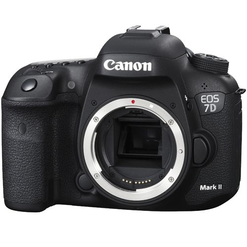 Canon 7D Mark II with 18-135mm Lens