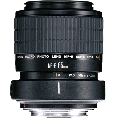 Used: Canon MP-E 65mm f/2.8 (1-5x) Macro Lens