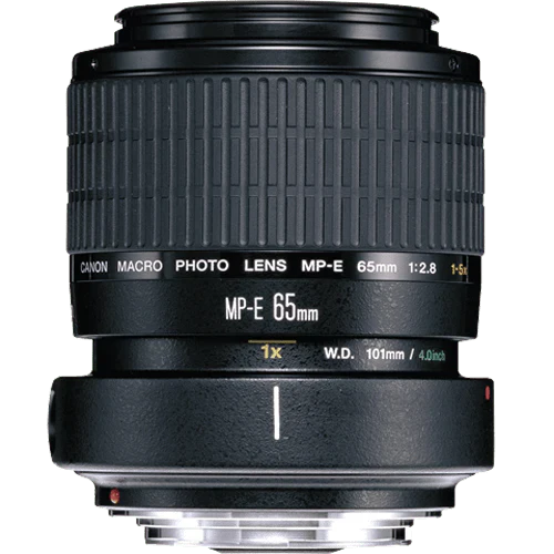 Used: Canon MP-E 65mm f/2.8 (1-5x) Macro Lens